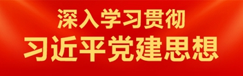深入學習貫徹習近平黨建思想