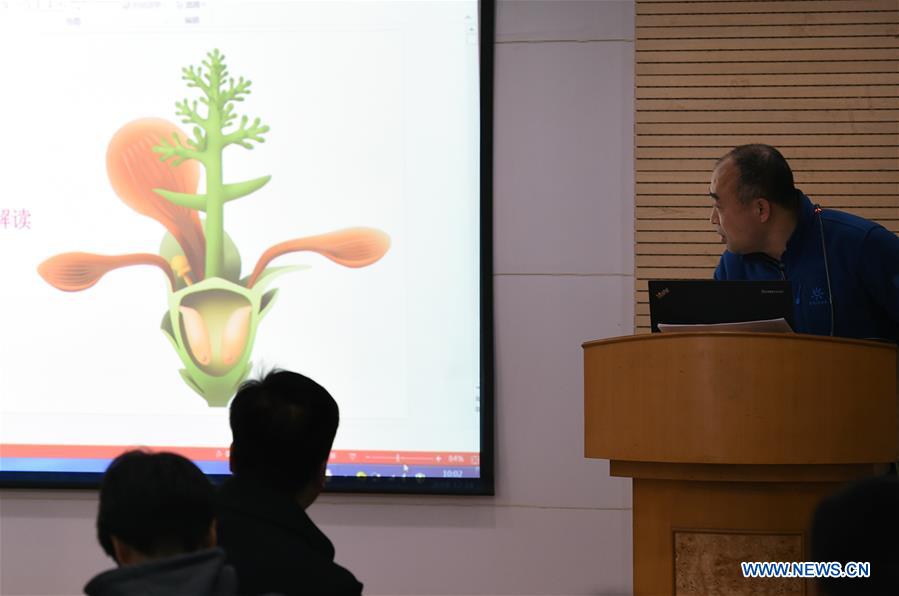 CHINA-NANJING-WORLD'S EARLIEST FOSSIL FLOWERS-RESEARCH ACHIEVEMENTS RELEASE (CN)