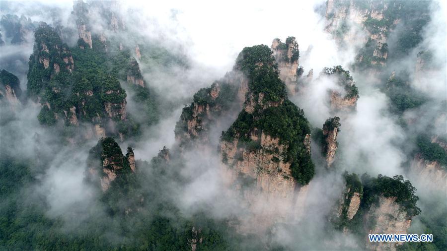 (EcoChina)CHINA-HORTICULTURAL EXPO-HUNAN (CN)