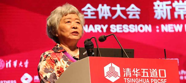 吳曉靈：中國市場缺乏把資金運向?qū)嶓w經(jīng)濟(jì)的機(jī)制