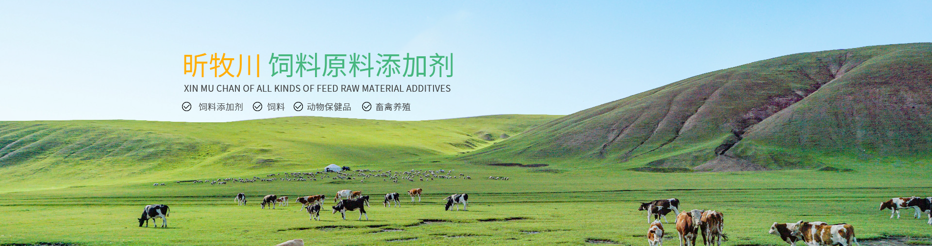 潛在的金融危機與治理路徑