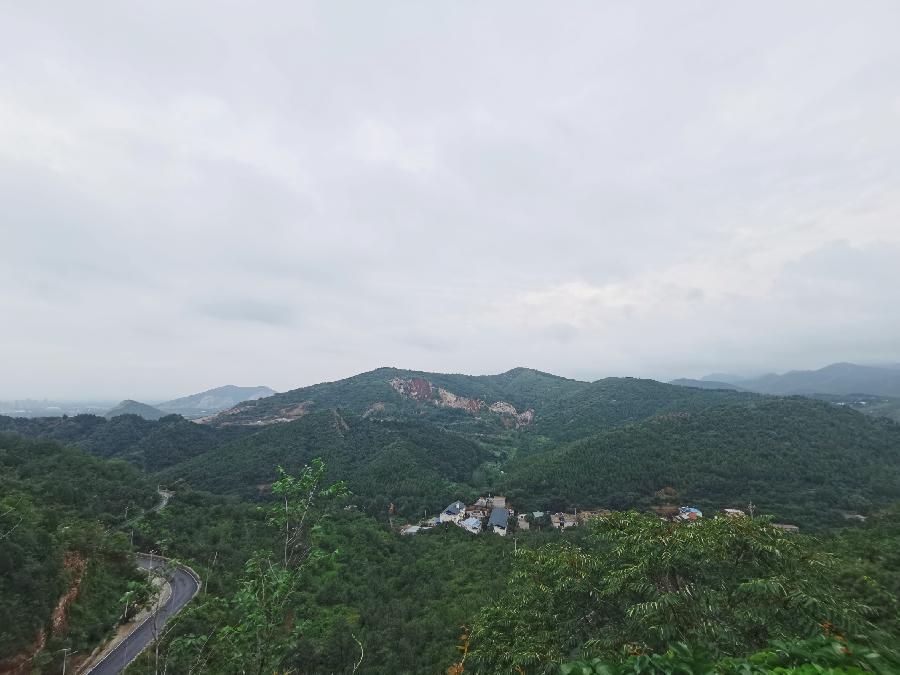 圍繞&ldquo;十四五&rdquo;規(guī)劃上海青年建言獻(xiàn)策 政府部門&ldquo;零時(shí)差&rdquo;回應(yīng)