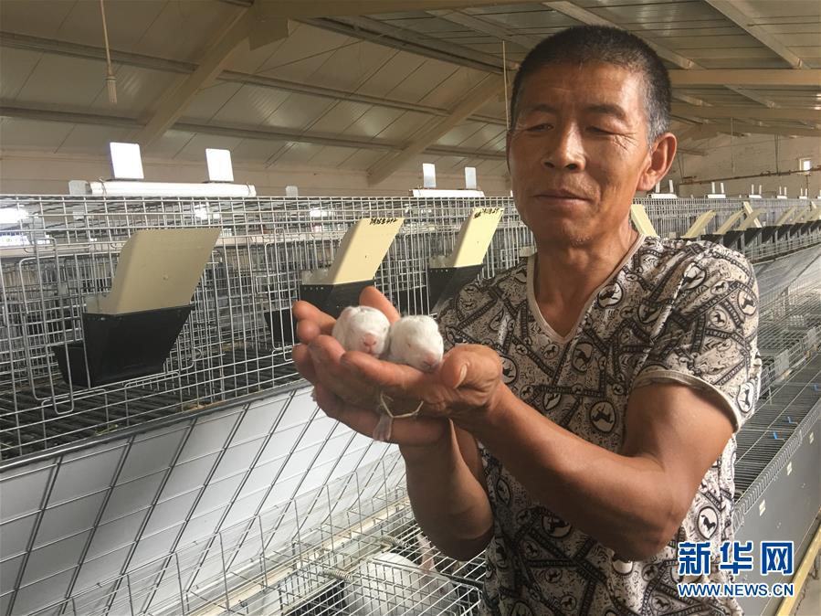 （新華全媒頭條&middot;在習(xí)近平新時代中國特色社會主義思想指引下&mdash;&mdash;新時代新作為新篇章&middot;圖文互動）（10）綠富同興畫卷在沙海中鋪展&mdash;&mdash;庫布其沙漠生態(tài)治理紀實