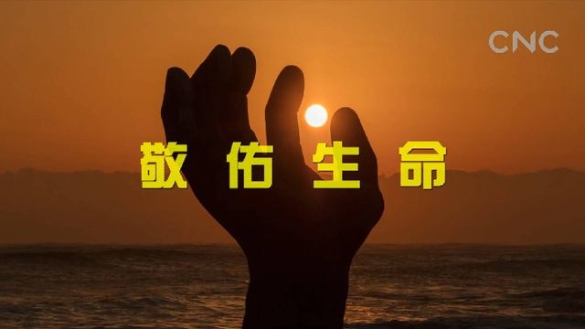 &ldquo;一帶一路&rdquo;全球行| 仁濟天下 大愛無疆