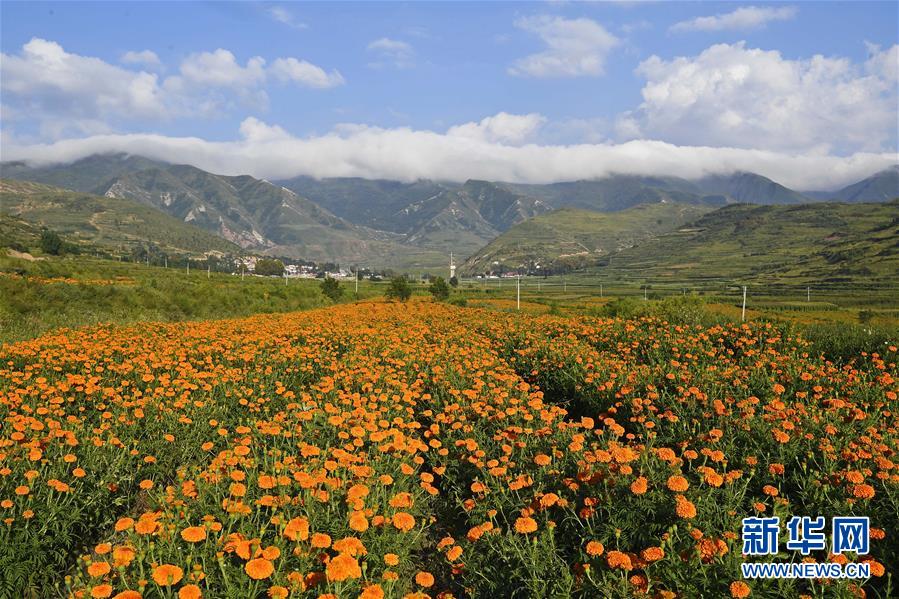 （新華全媒頭條&middot;圖文互動）（8）中國扶貧的西海固答卷&mdash;&mdash;寧夏奮進60年巡禮之脫貧攻堅篇