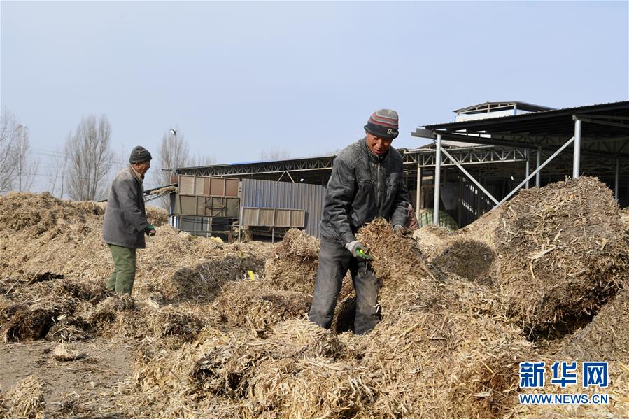 （在習近平新時代中國特色社會主義思想指引下&mdash;&mdash;新時代新氣象新作為&middot;鄉村振興戰略&middot;圖文互動）（2）&ldquo;與其放火，不如打包&rdquo;&mdash;&mdash;山西渾源秸稈綜合再利用見聞