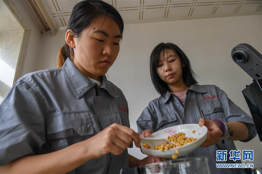 （在習(xí)近平新時代中國特色社會主義思想指引下&mdash;&mdash;新時代新作為新篇章&middot;圖文互動）（3）大學(xué)生種田讓農(nóng)民&ldquo;老把式&rdquo;開了眼&mdash;&mdash;吉林長白山下的稻田新事