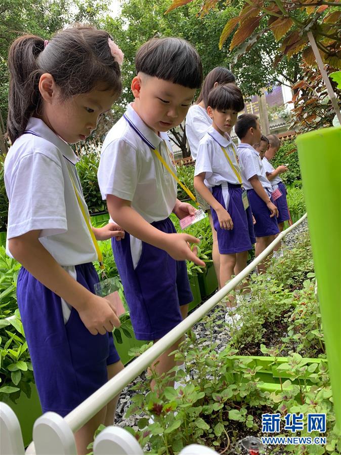 (新華全媒頭條·開學季·圖文互動)(4)新學期是彩色的——各地2019年秋季學期開學典禮掃描