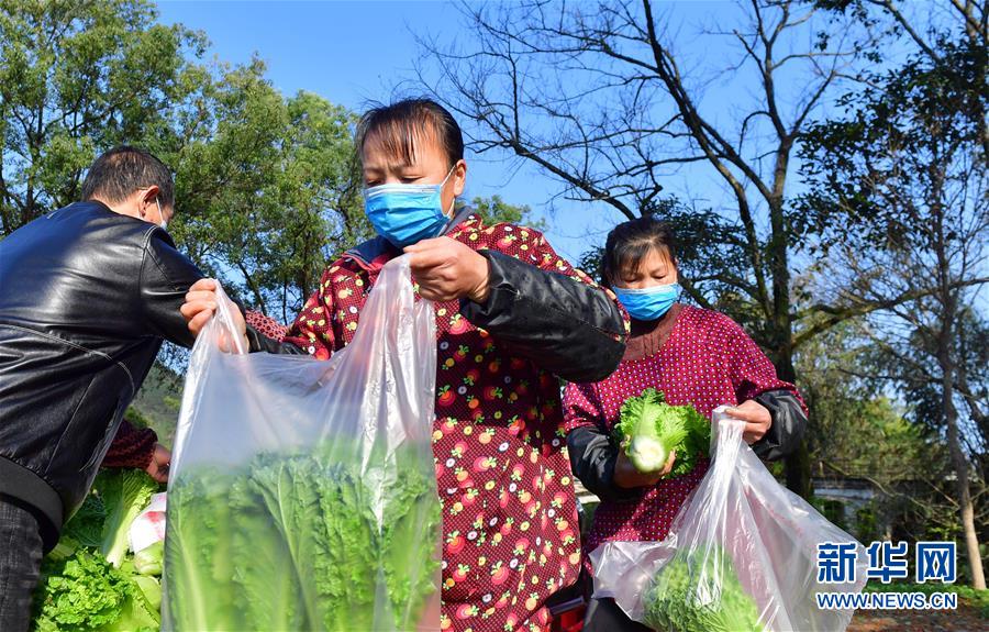 （圖文互動）（6）廣西桂林：&ldquo;借力+接力&rdquo;新鮮蔬菜進社區