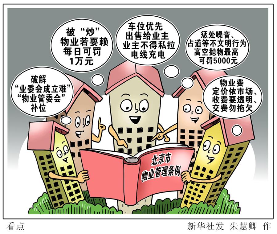 （圖表&middot;漫畫）［新華調查］看點