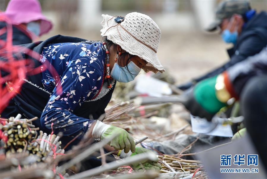 （新華全媒頭條&middot;圖文互動）（13）三江之源見證中國奇跡&mdash;&mdash;寫在玉樹地震10周年之際