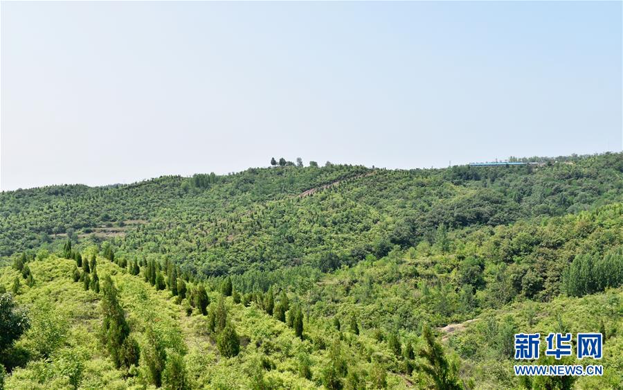(決戰決勝脫貧攻堅·圖文互動)(1)“愚公”治山