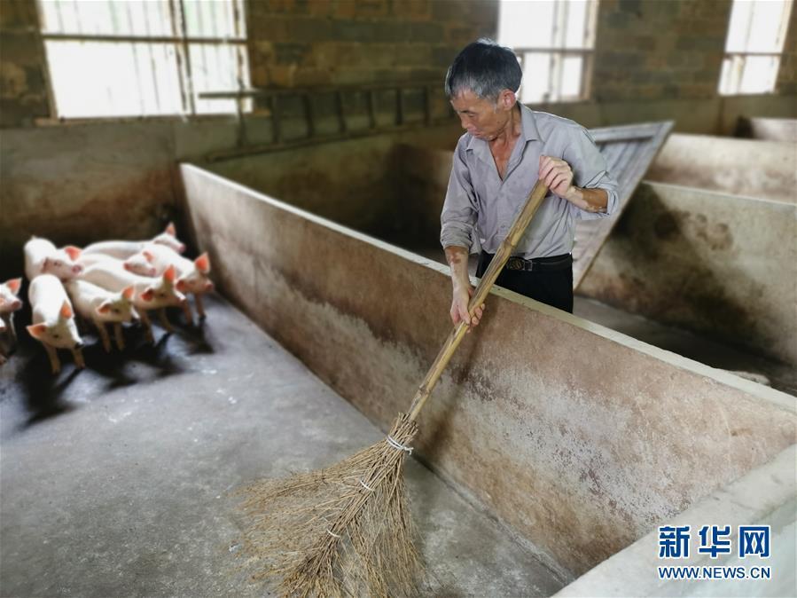 (走向我們的小康生活·圖文互動)(2)長沙:以“繡花功”精準攻破“插花貧”