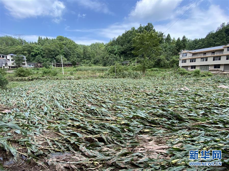 （防汛抗洪&middot;圖文互動）（4）山洪襲來前，澧水河畔大轉移