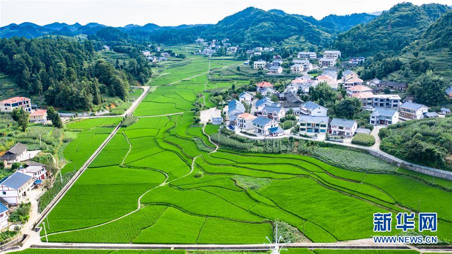 （走向我們的小康生活&middot;圖文互動(dòng)）（1）紅色圣地的&ldquo;初心答卷&rdquo;&mdash;&mdash;革命老區(qū)遵義肝膽相照寫(xiě)征程