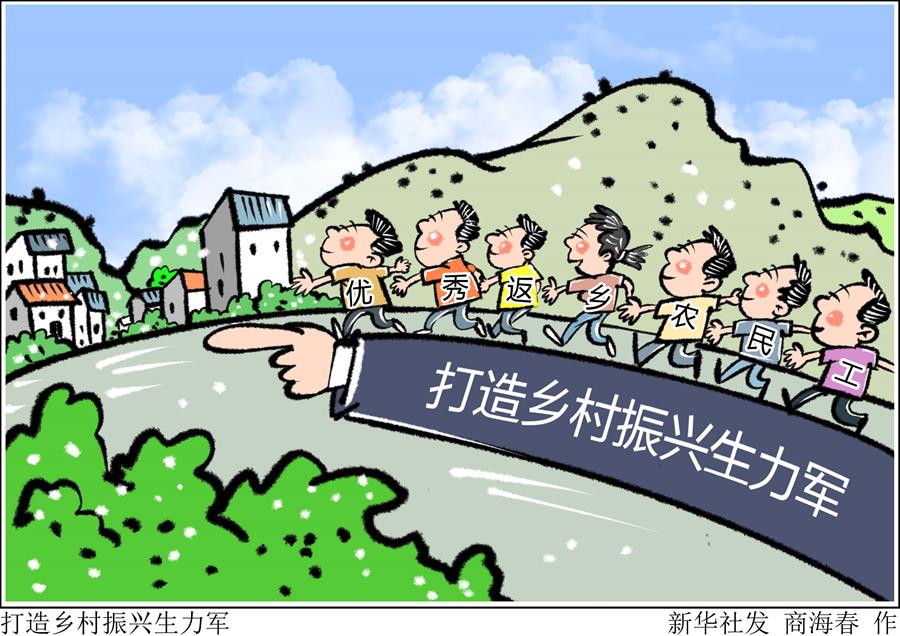 （圖表&middot;漫畫）［新華時評&middot;走向我們的小康生活］打造鄉村振興生力軍