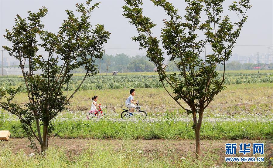 （新華全媒頭條&middot;走向我們的小康生活&middot;圖文互動）（14）城市，讓人民生活更美好