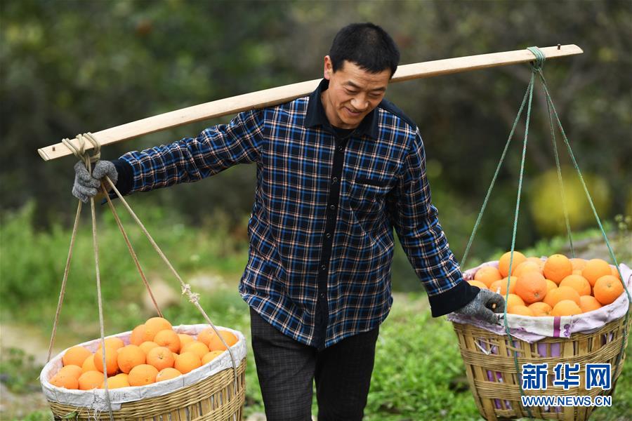 （新華全媒頭條&middot;走向我們的小康生活&middot;圖文互動）（10）大城大鄉的&ldquo;幸福協奏曲&rdquo;&mdash;&mdash;重慶推動高質量發展創造高品質生活紀事