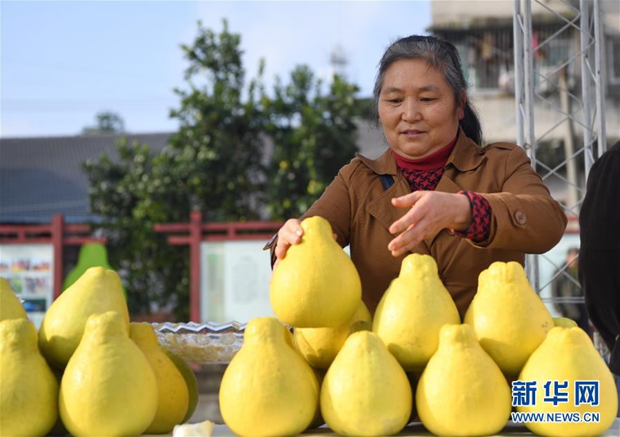 （新華全媒頭條&middot;走向我們的小康生活&middot;圖文互動）（11）大城大鄉的&ldquo;幸福協奏曲&rdquo;&mdash;&mdash;重慶推動高質量發展創造高品質生活紀事