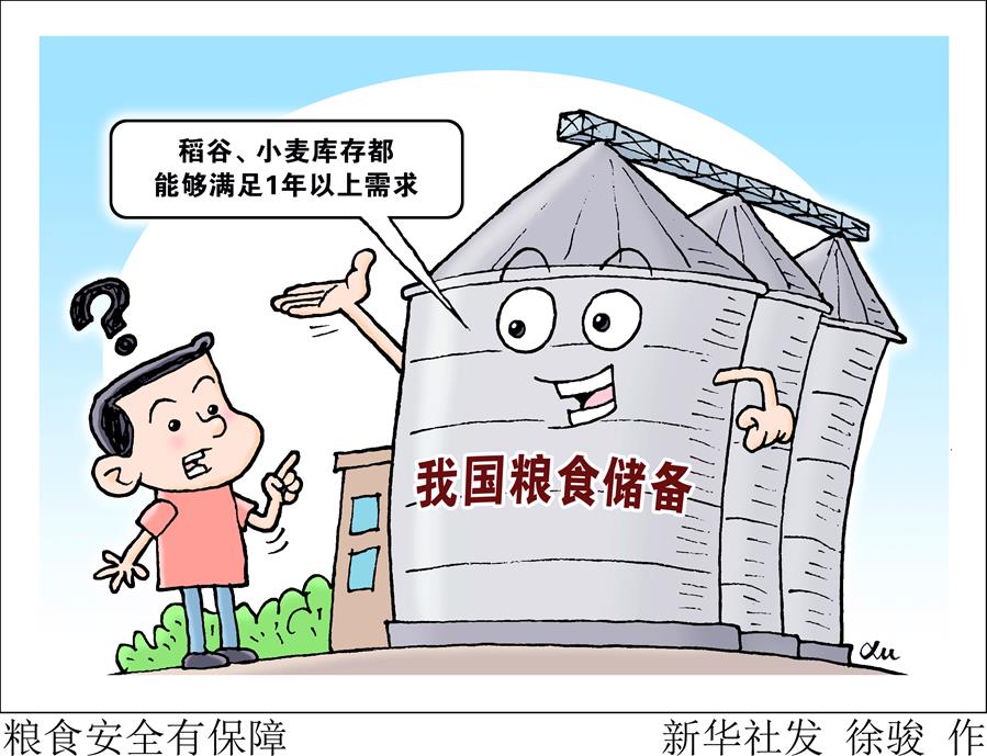 （圖表&middot;漫畫）［經濟］糧食安全有保障 