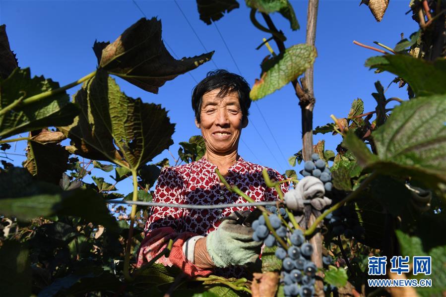 （集中連片特困地區貧困村調研行&middot;圖文互動）（4）又整新鞍馬蹄輕&mdash;&mdash;內蒙古喀喇沁旗馬鞍山村脫貧調查