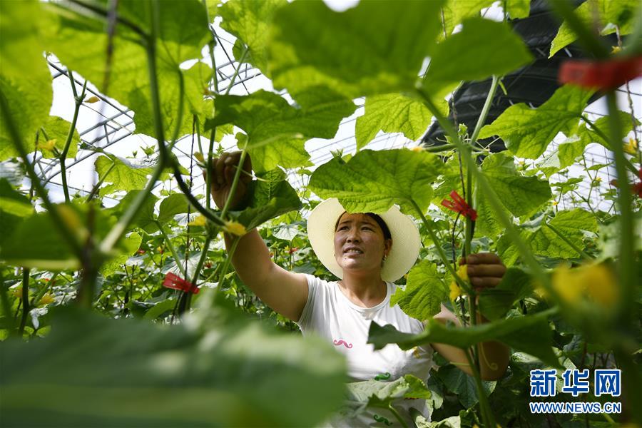 （新華全媒頭條&middot;百萬大移民&middot;圖文互動）（1）從大山深處到大河之畔&mdash;&mdash;寧夏持續移民百萬&ldquo;拔窮根&rdquo;啟示