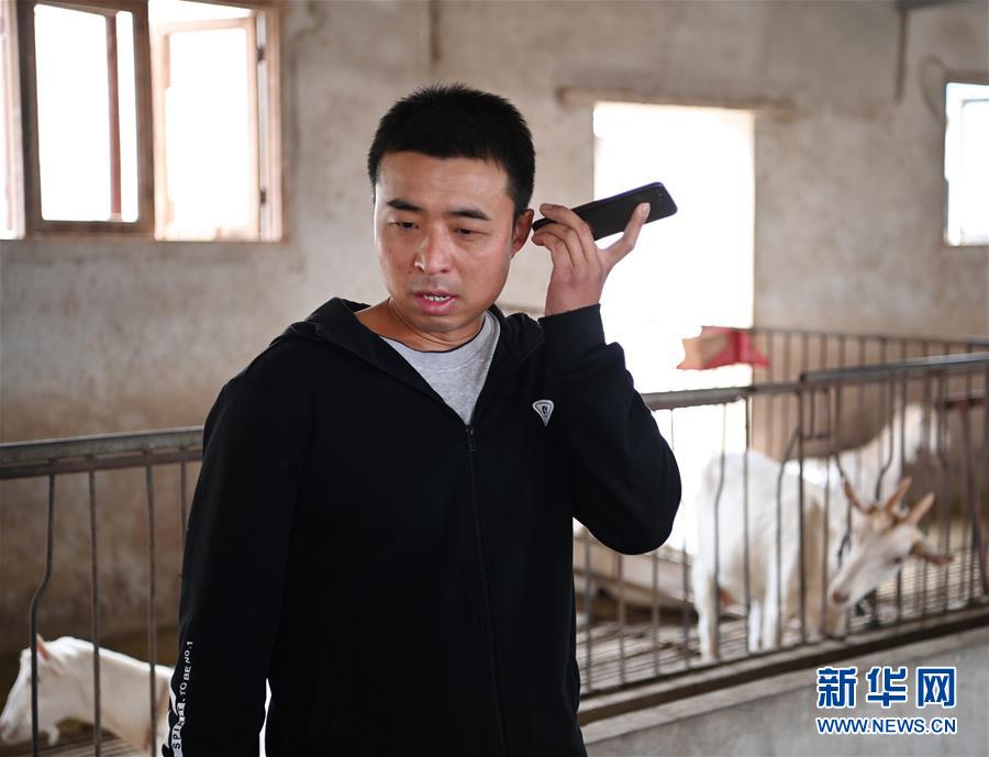 （五中全會(huì)精神在基層&middot;圖文互動(dòng)）（3）大學(xué)生&ldquo;羊倌&rdquo;成了致富&ldquo;領(lǐng)頭羊&rdquo;