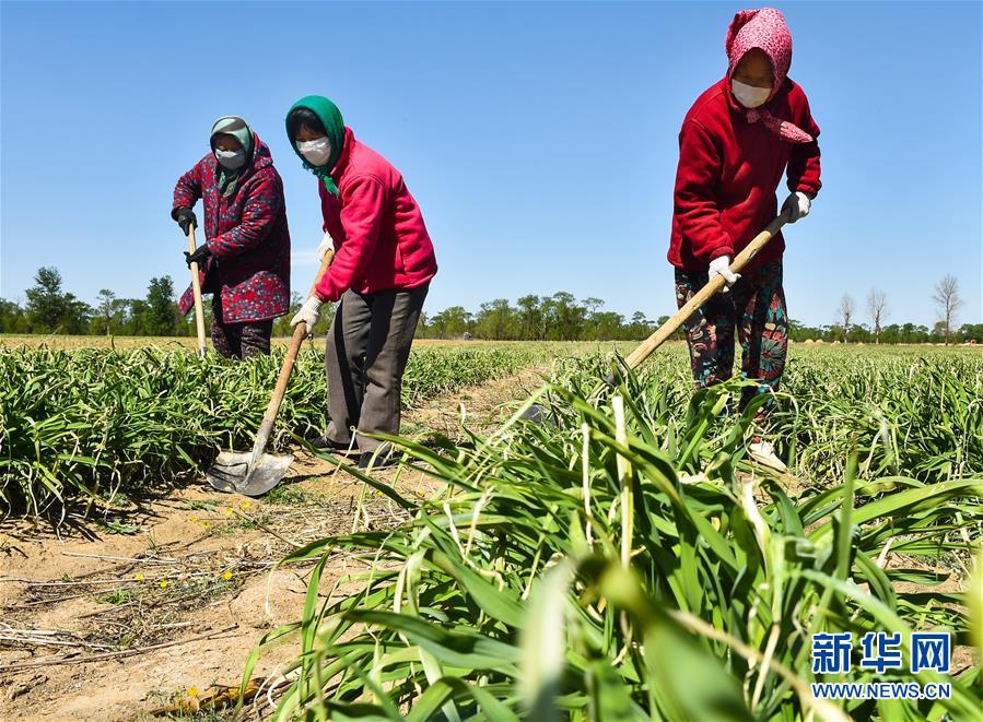 （新華全媒頭條&middot;圖文互動）（17）從人民中汲取磅礴力量&mdash;&mdash;習近平總書記同出席2020年全國兩會人大代表、政協委員共商國是紀實