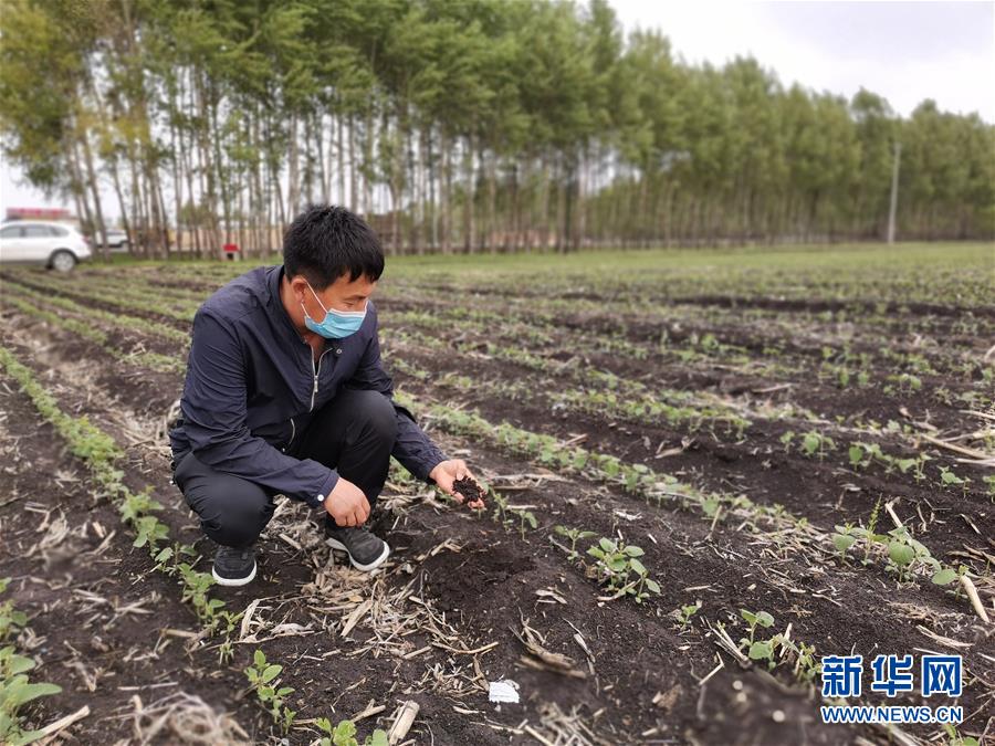 （在習(xí)近平新時(shí)代中國特色社會(huì)主義思想指引下&mdash;&mdash;新時(shí)代新作為新篇章&middot;習(xí)近平總書記關(guān)切事&middot;圖文互動(dòng)）（6）讓每一寸耕地都成為豐收的沃土&mdash;&mdash;我國加強(qiáng)耕地保護(hù)推進(jìn)&ldquo;藏糧于地&rdquo;