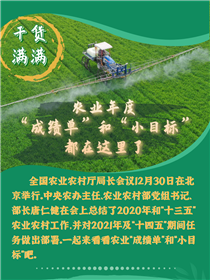干貨滿(mǎn)滿(mǎn)！農(nóng)業(yè)年度&ldquo;成績(jī)單&rdquo;和&ldquo;小目標(biāo)&rdquo;都在這里了