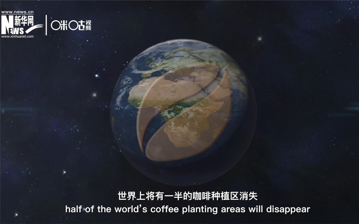 科學家預測到三十年后，世界上將有一半的咖啡種植區消失