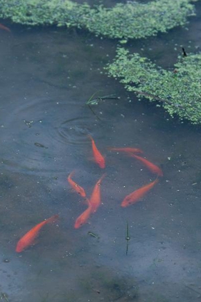 浣溪沙&middot;端午