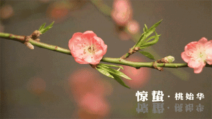 &ldquo;如果節氣會說話&rdquo;之驚蟄
