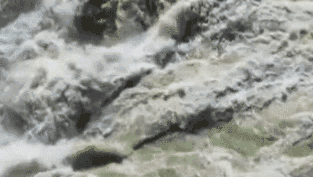 黃河壺口瀑布呈現(xiàn)&ldquo;碧流飛瀑&rdquo;景觀