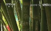&ldquo;五一&rdquo;去哪？：快樂(lè)出行 文明旅游