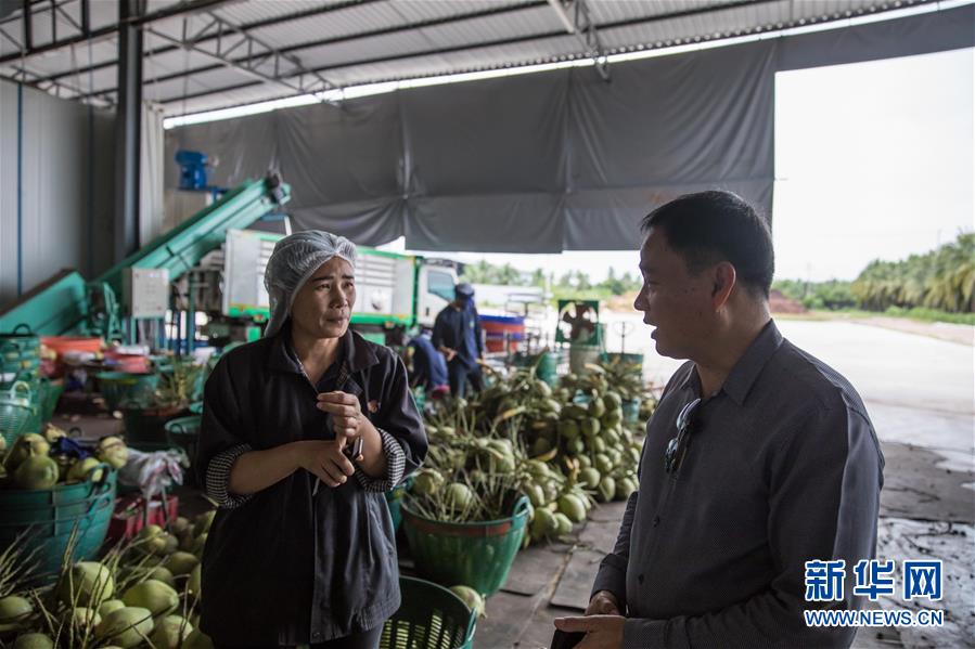 （第三屆進博會&middot;圖文互動）（4）通訊：椰香飄進進博會 市場開放共繁榮&mdash;&mdash;一名泰國椰商的心聲